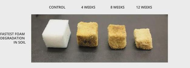 加州生物基公司新發(fā)論文植物基微塑料7個月內可完全生物降解