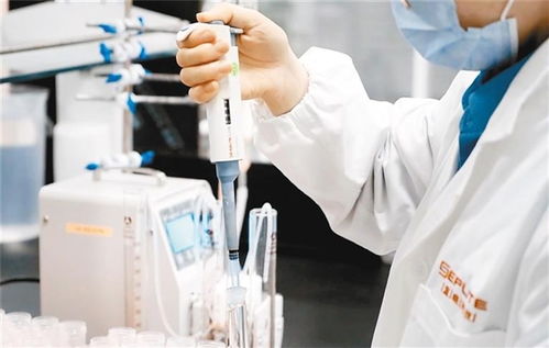 藍曉科技 小 顆粒如何成長為 大 冠軍