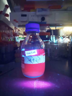 新型碳基納米材料助力農業應用