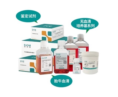 依科賽:聚焦胎牛血清、無血清培養基和鑒定試劑國產化和國際化