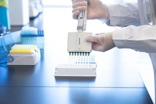 北京協(xié)和醫(yī)院傾力打造疑難罕見病基礎(chǔ)研究與前沿技術(shù)創(chuàng)新核心基地——生物基材料技術(shù)研發(fā)